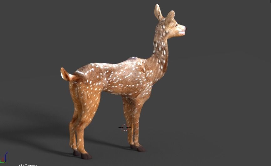 axis deer 3D model_7