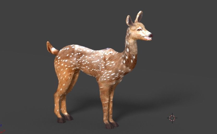 axis deer 3D model_11