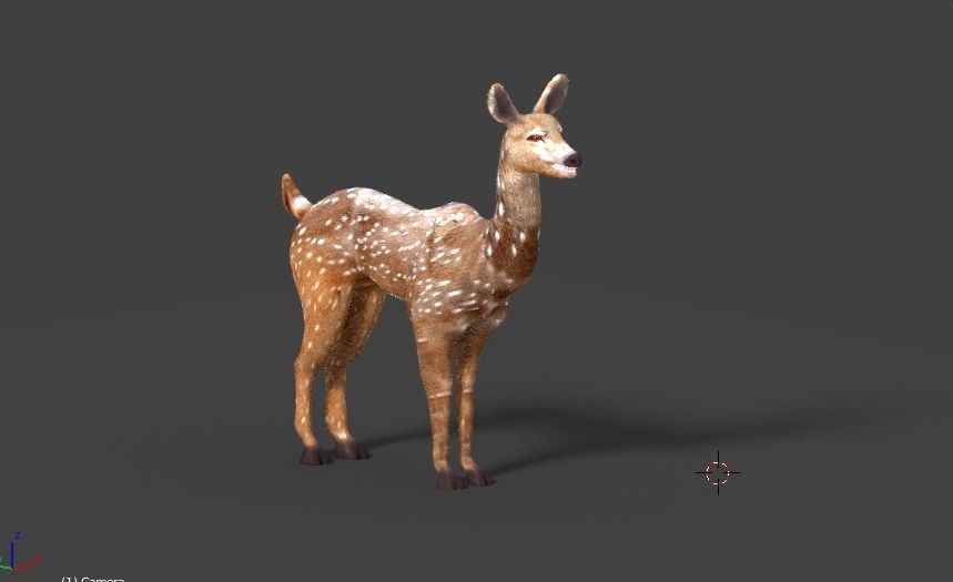 axis deer 3D model_5