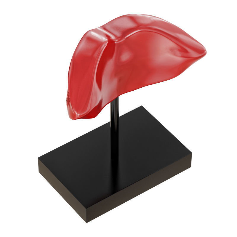 Figurine red lips 3D model_4