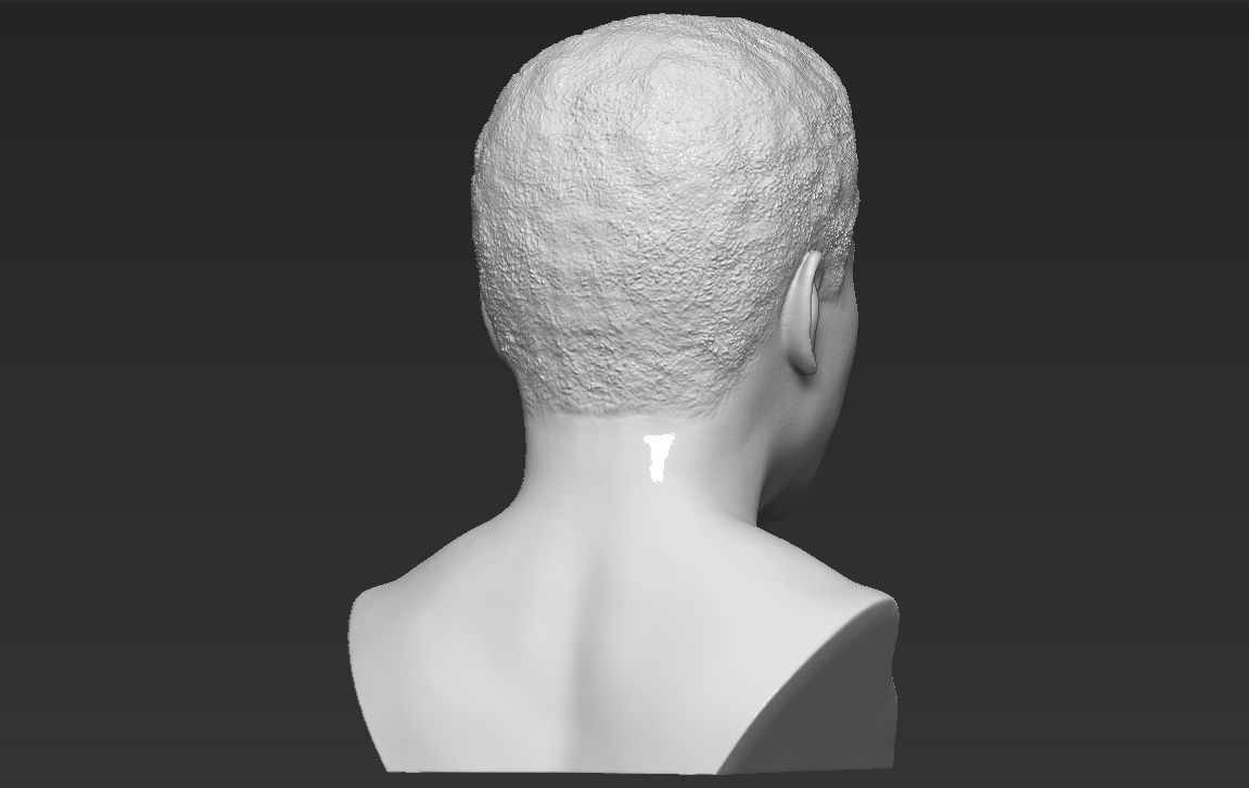 Muhammad Ali bust 3D printing ready stl obj formats 3D print model_6