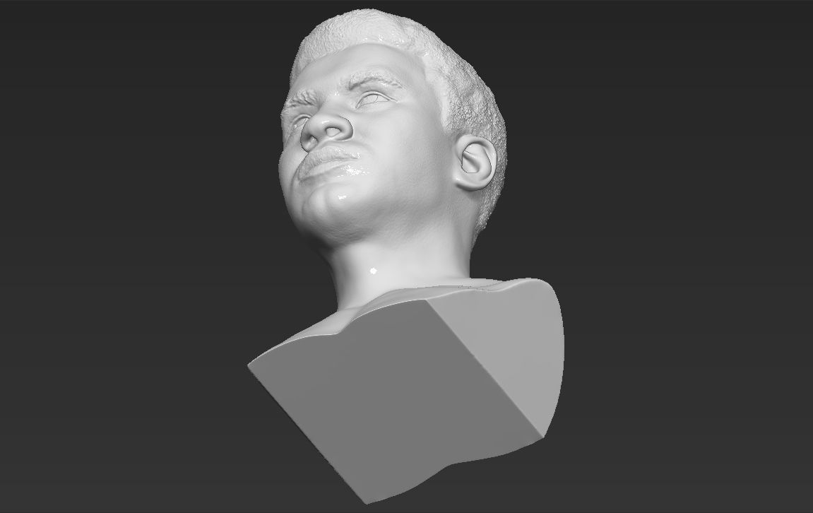 Muhammad Ali bust 3D printing ready stl obj formats 3D print model_21