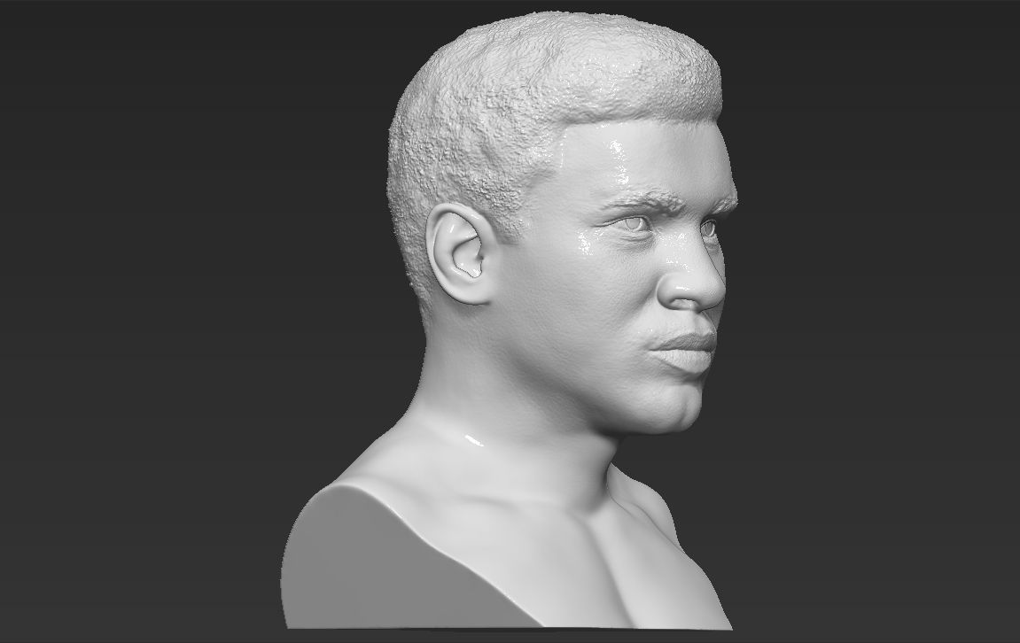 Muhammad Ali bust 3D printing ready stl obj formats 3D print model_8