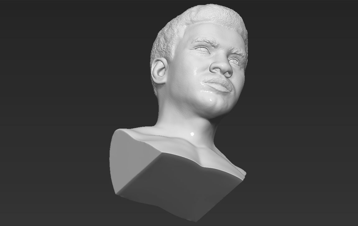 Muhammad Ali bust 3D printing ready stl obj formats 3D print model_20