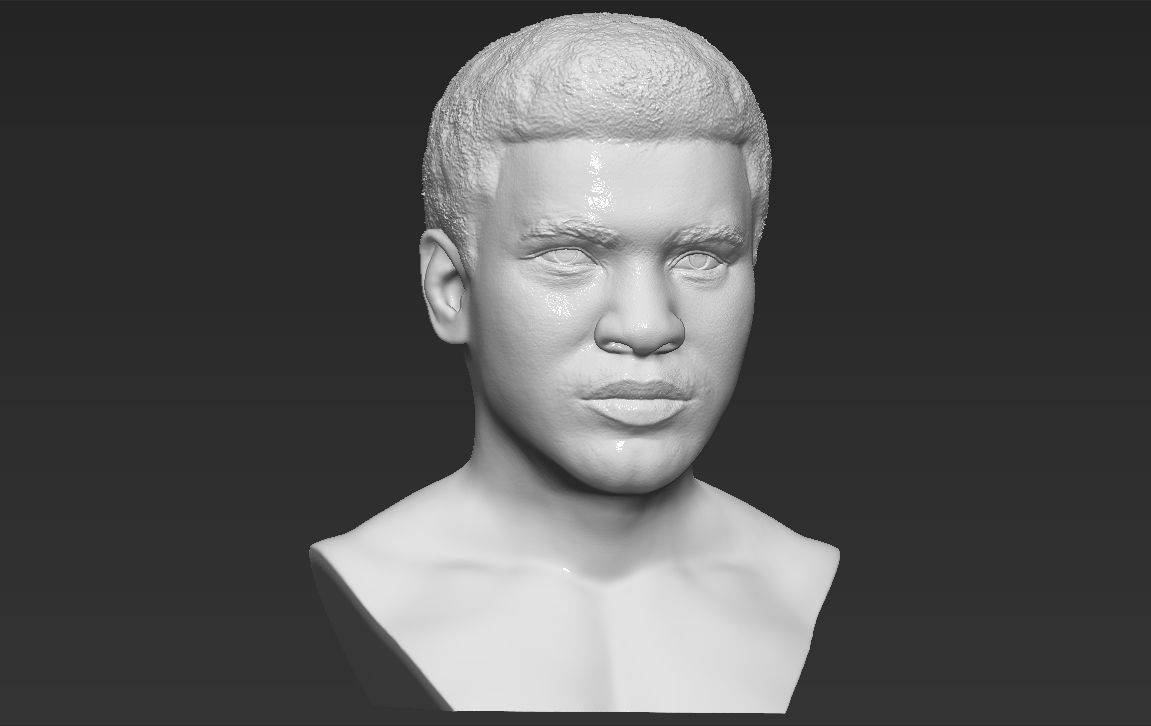 Muhammad Ali bust 3D printing ready stl obj formats 3D print model_10