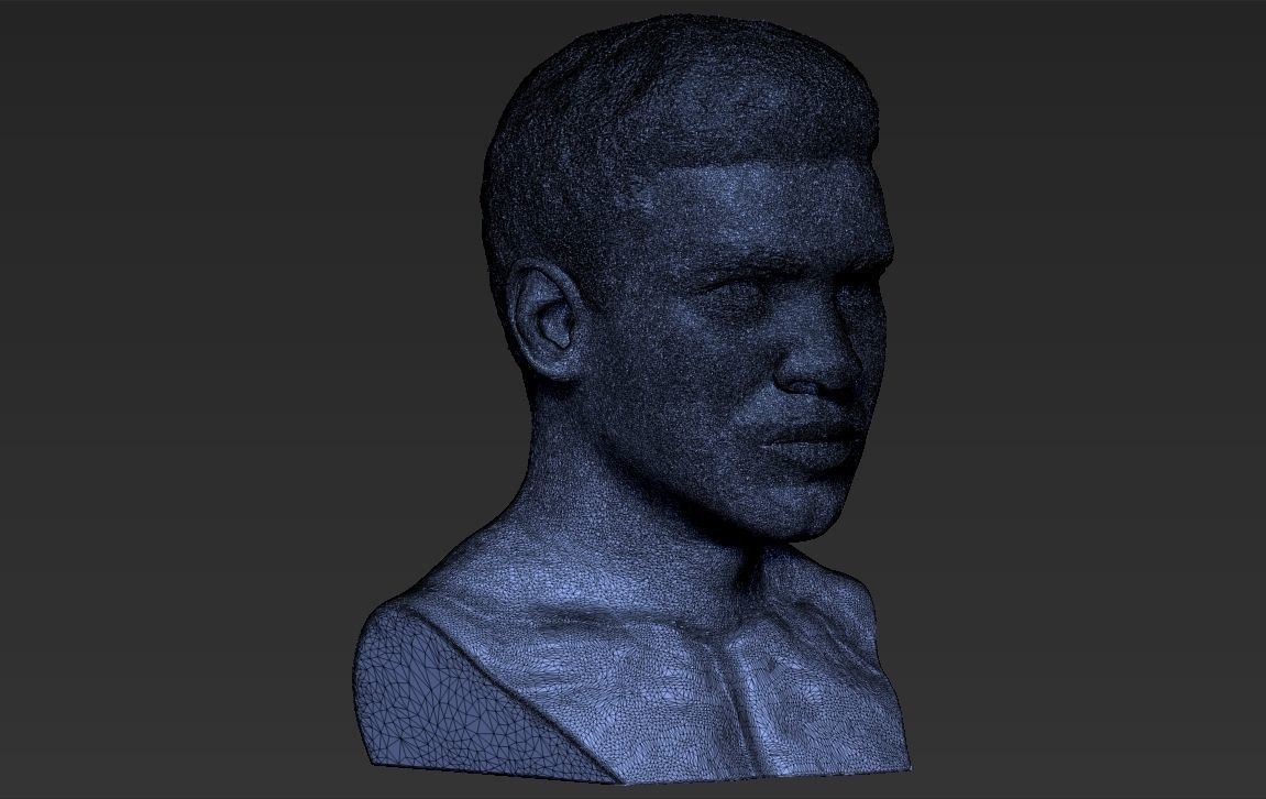 Muhammad Ali bust 3D printing ready stl obj formats 3D print model_25