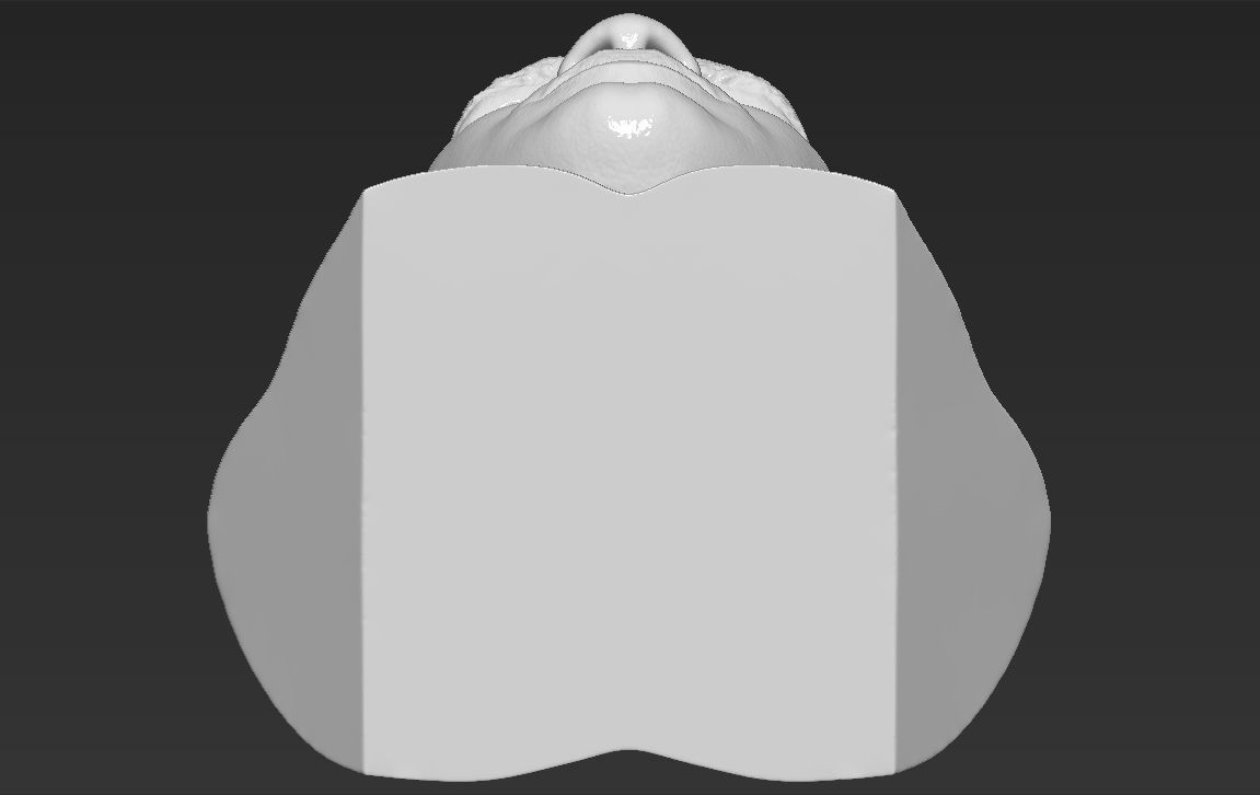 Muhammad Ali bust 3D printing ready stl obj formats 3D print model_22