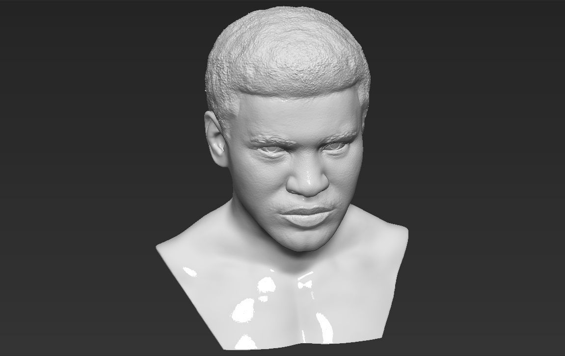 Muhammad Ali bust 3D printing ready stl obj formats 3D print model_11