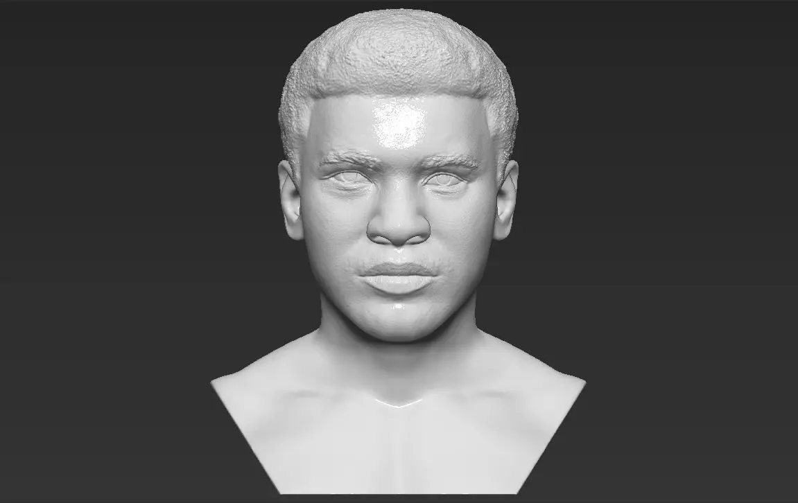 Muhammad Ali bust 3D printing ready stl obj formats 3D print model_0