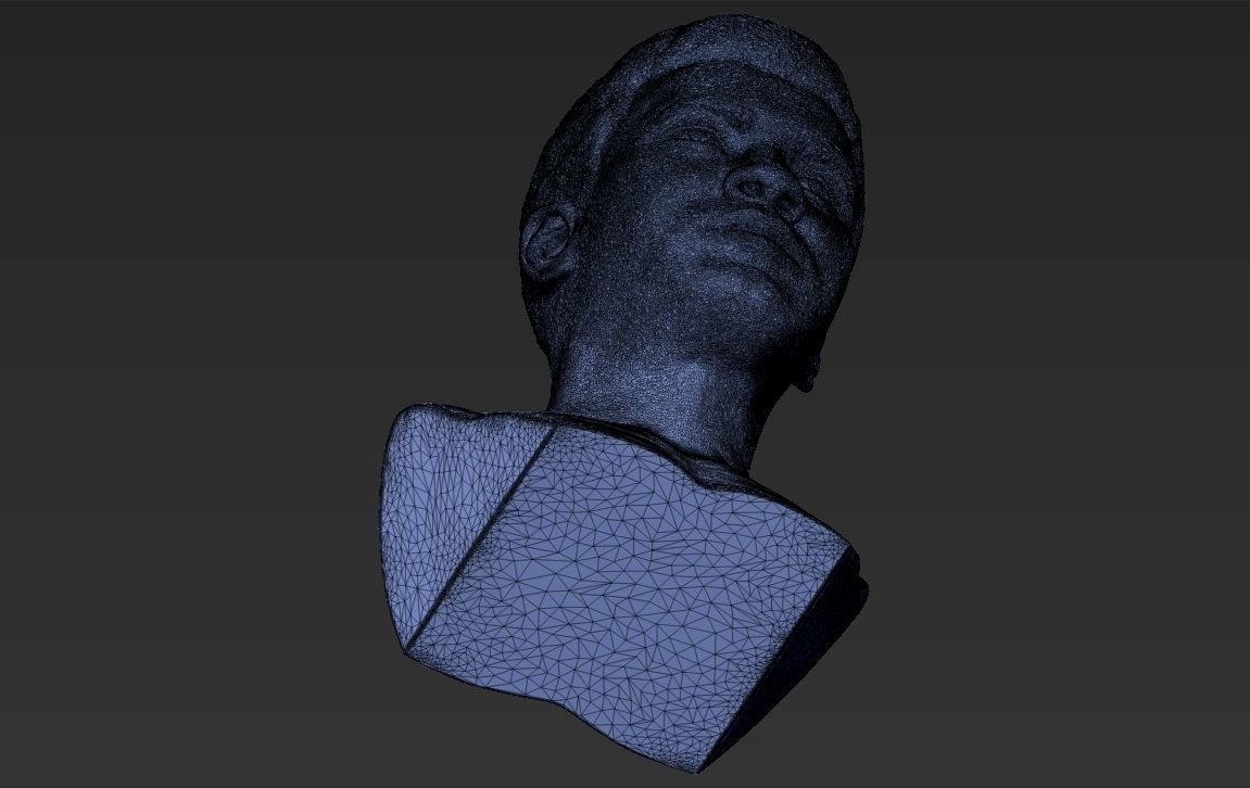 Muhammad Ali bust 3D printing ready stl obj formats 3D print model_26