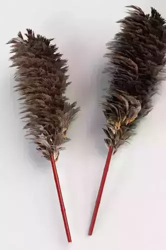 Feather Duster