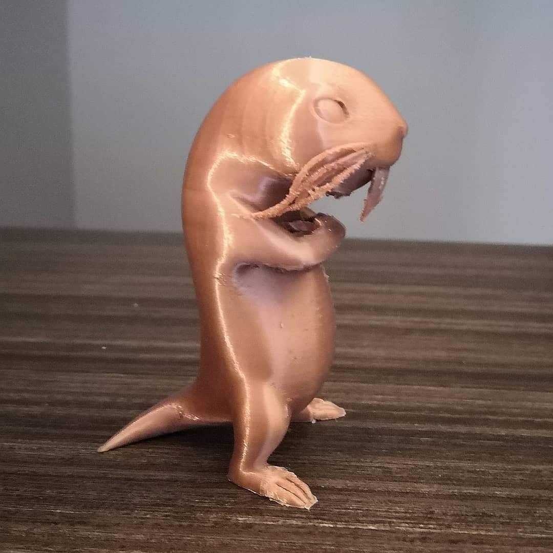 Rufus - Mole-Rat 3D print model_7