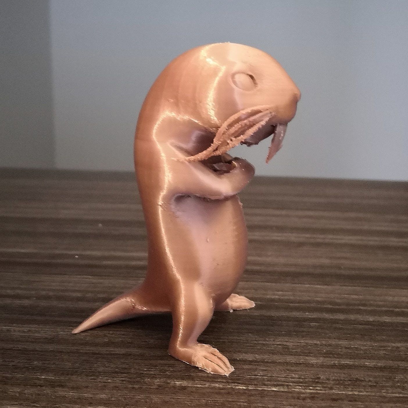 Rufus - Mole-Rat 3D print model_6
