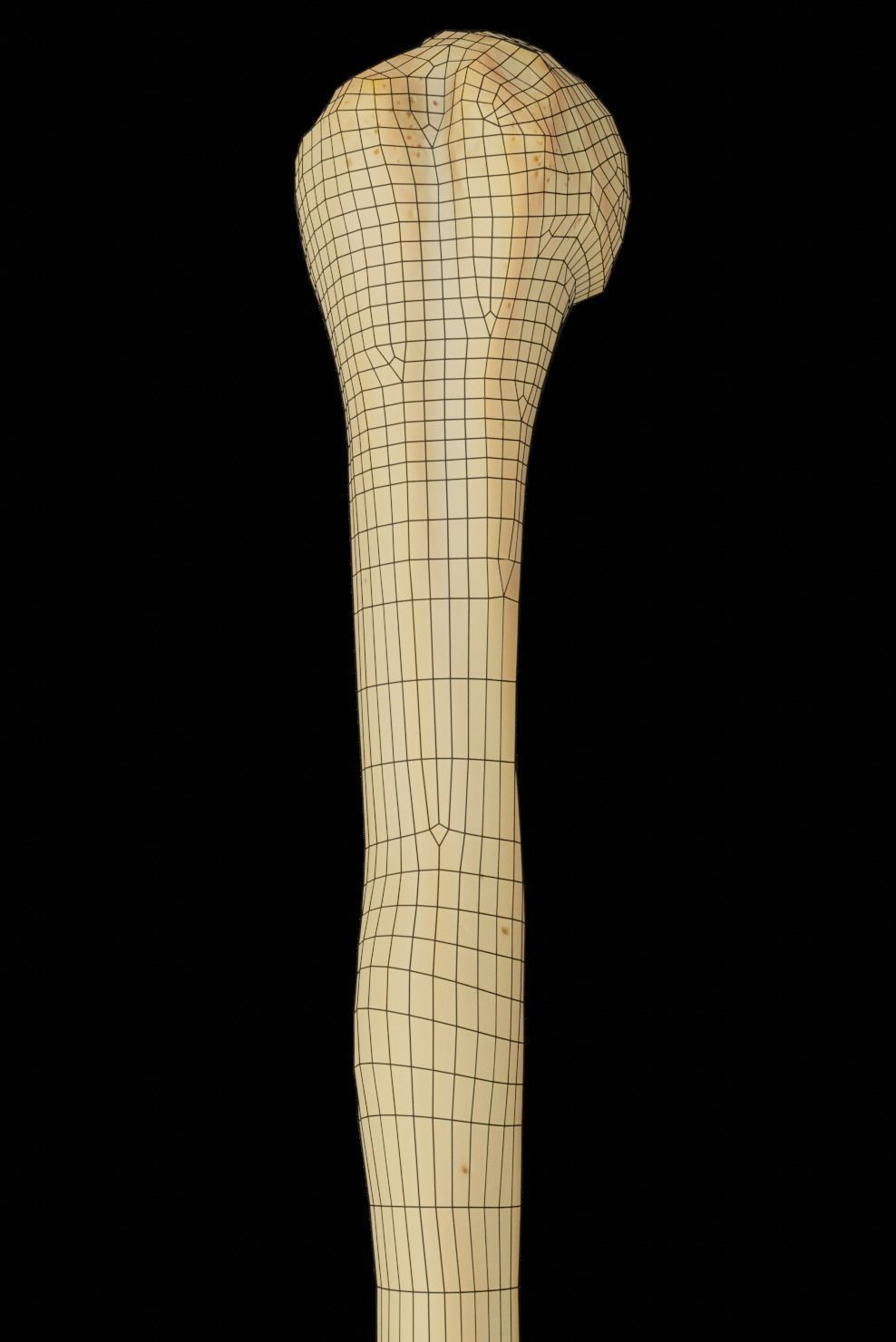 Humerus 3d Model - Anatomically Accurate Low-poly 3D model_20