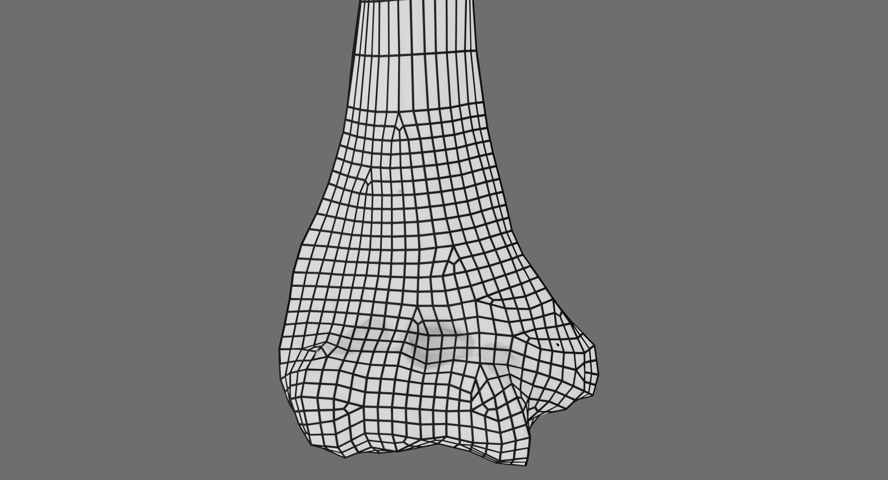 Humerus 3d Model - Anatomically Accurate Low-poly 3D model_23