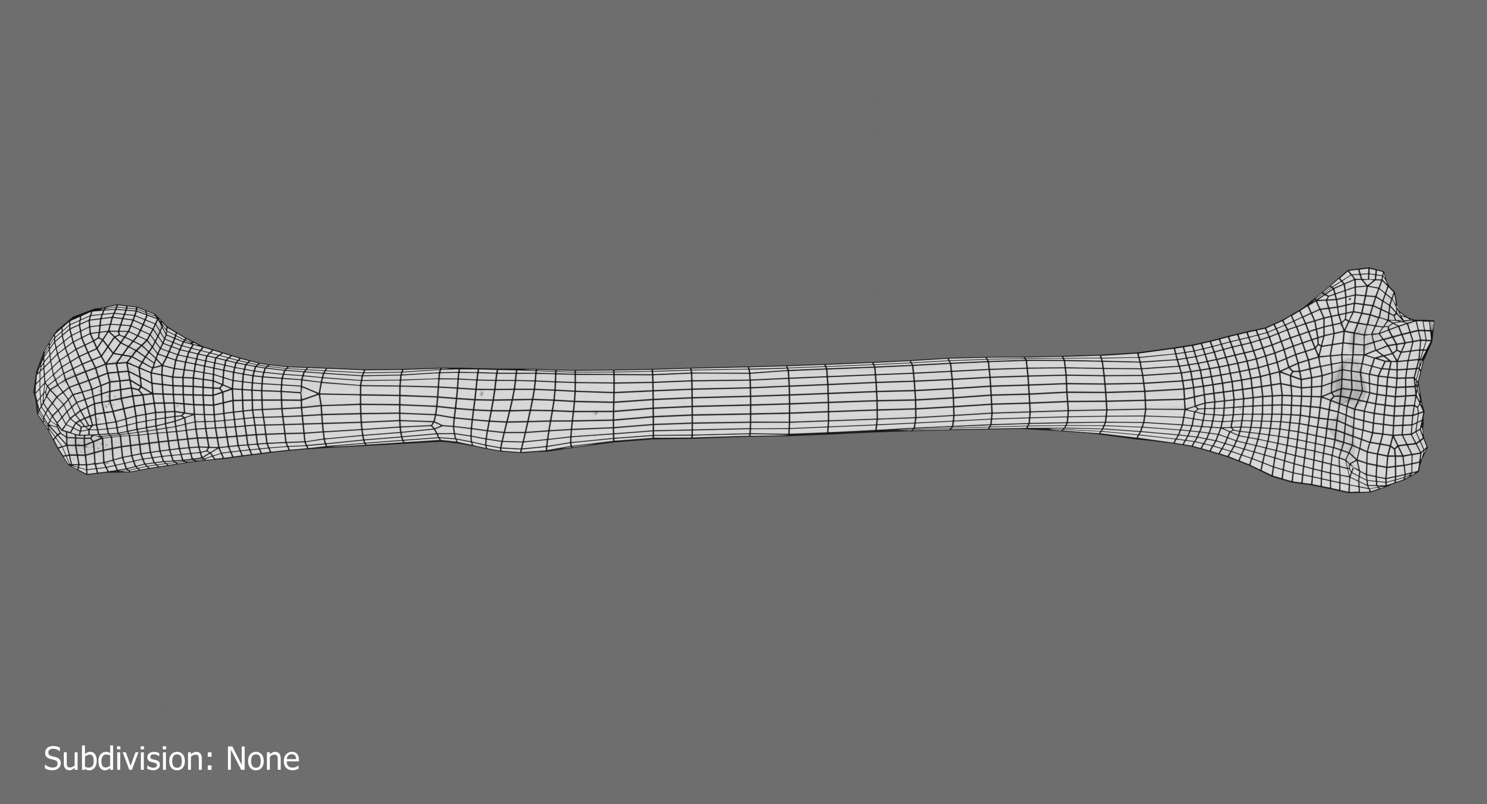 Humerus 3d Model - Anatomically Accurate Low-poly 3D model_16