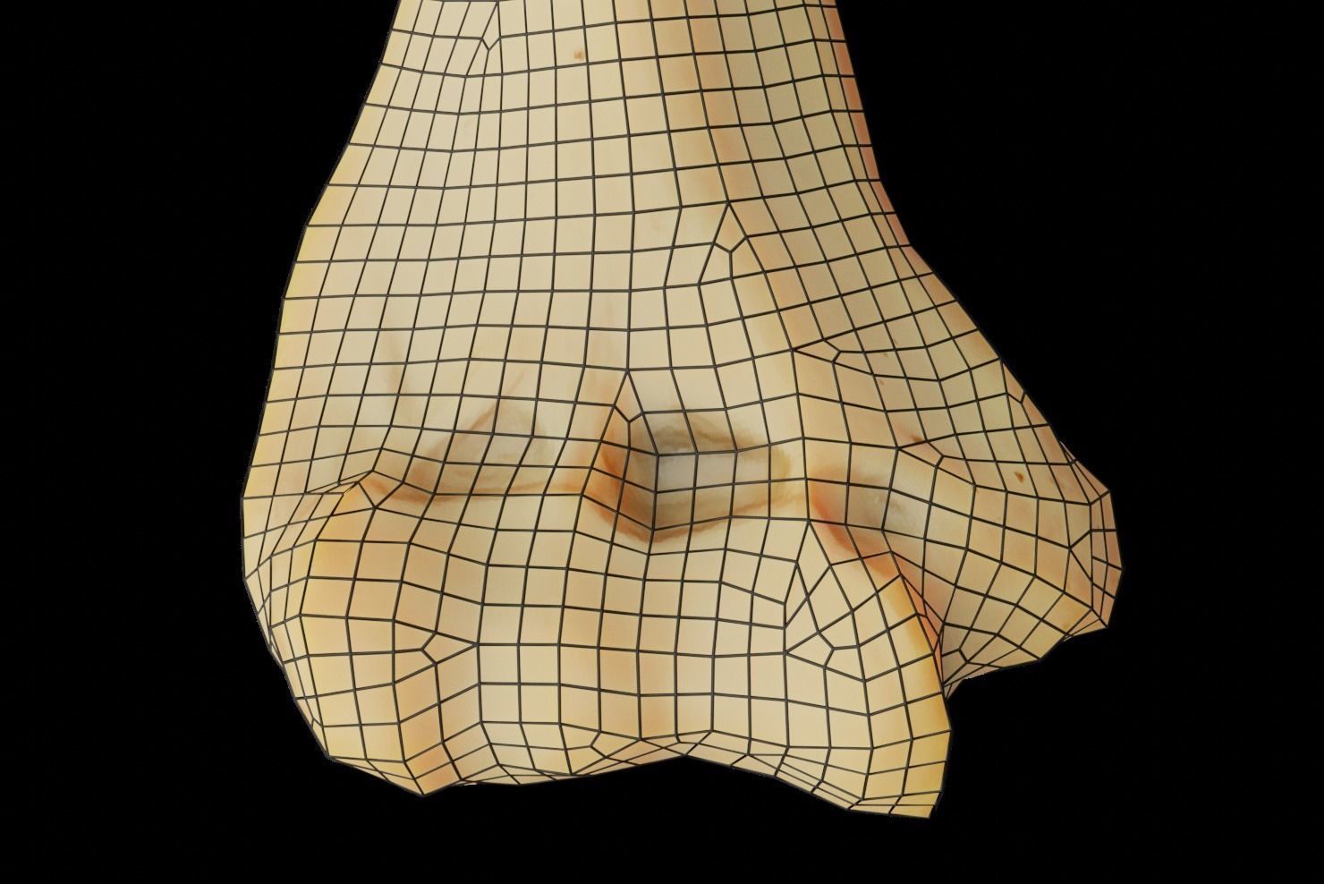 Humerus 3d Model - Anatomically Accurate Low-poly 3D model_21