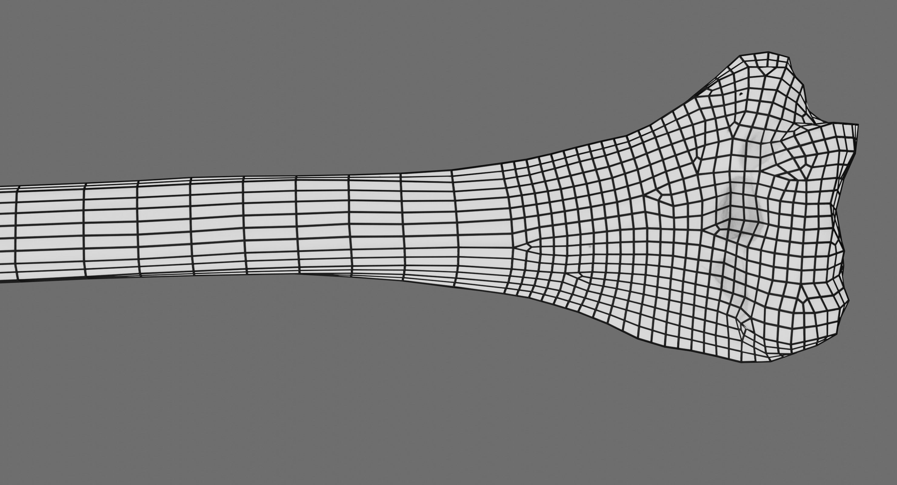 Humerus 3d Model - Anatomically Accurate Low-poly 3D model_25