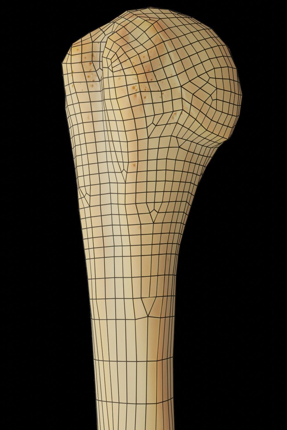 Humerus 3d Model - Anatomically Accurate Low-poly 3D model_18