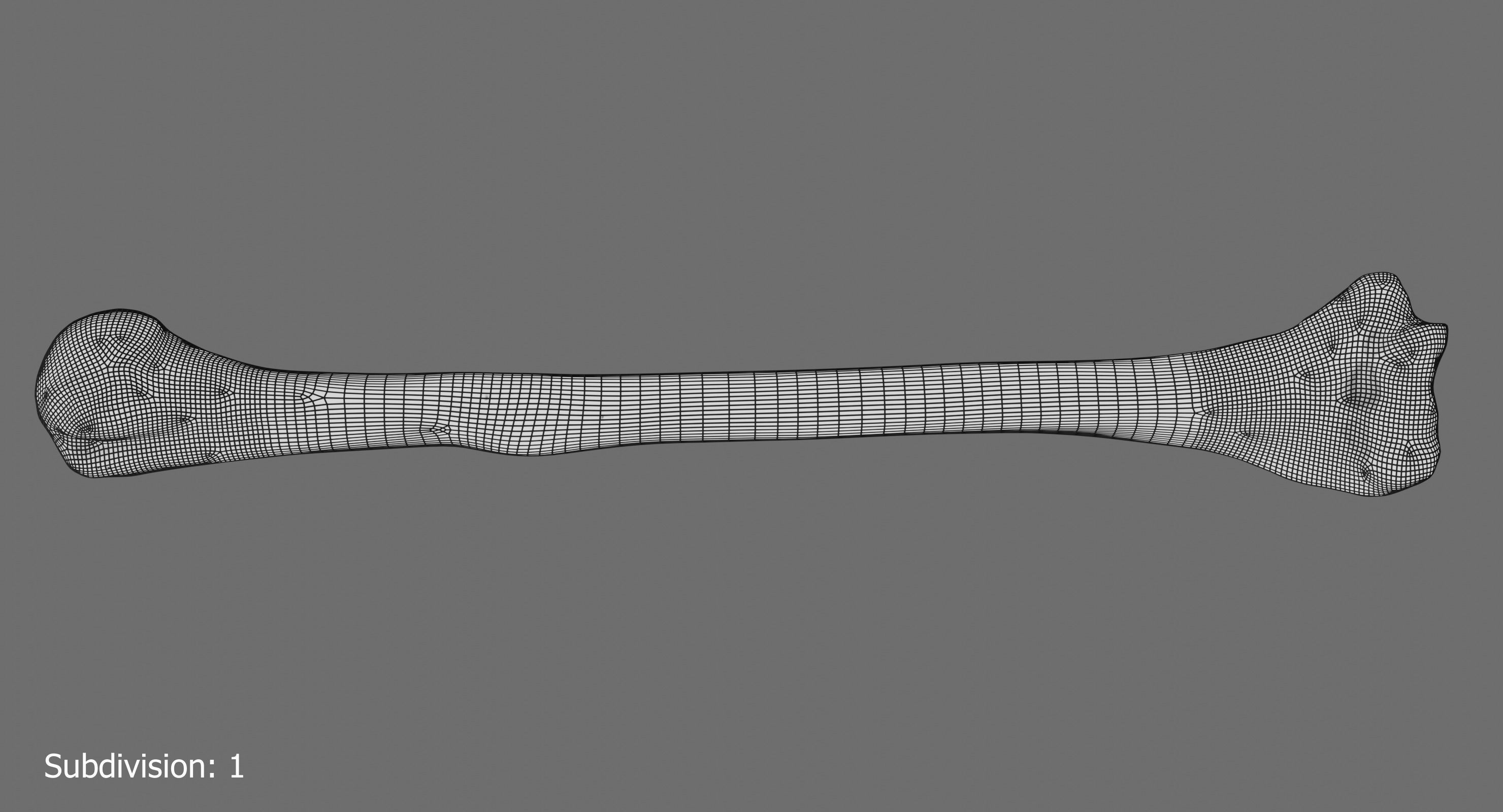 Humerus 3d Model - Anatomically Accurate Low-poly 3D model_17