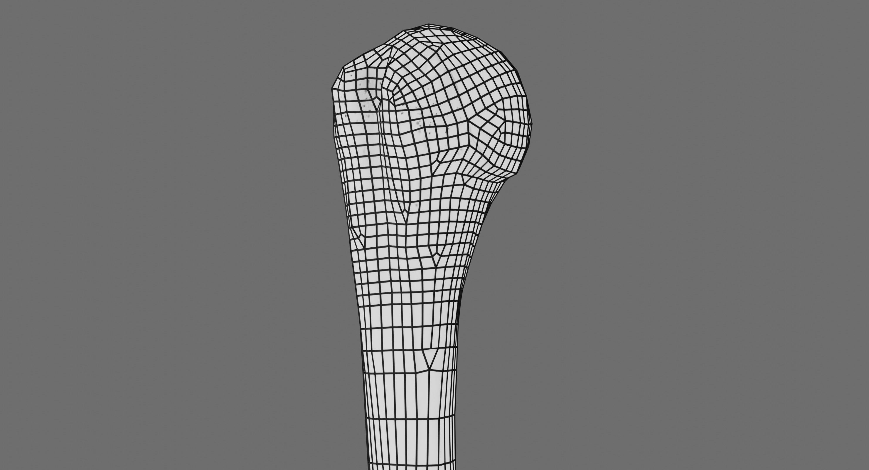 Humerus 3d Model - Anatomically Accurate Low-poly 3D model_24