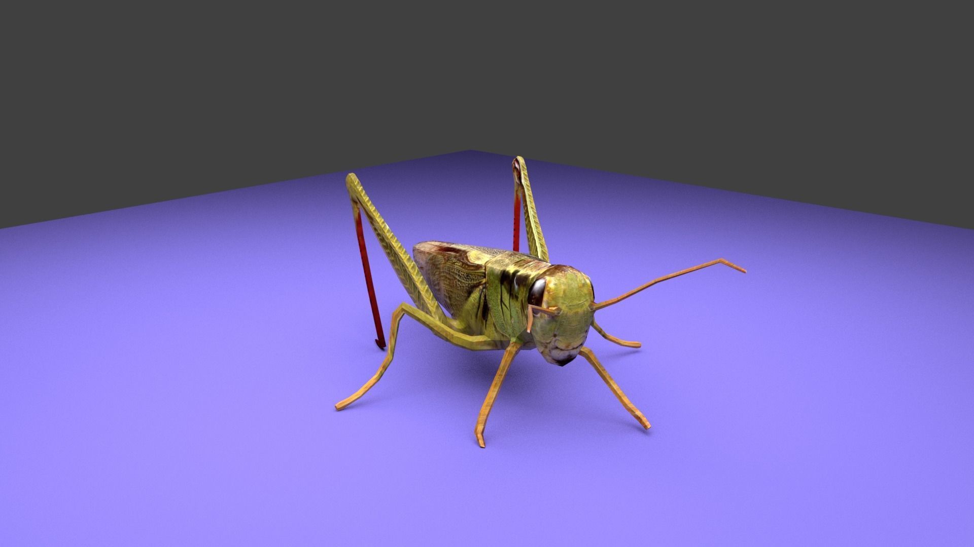 Grasshopper Low-poly 3D model_2