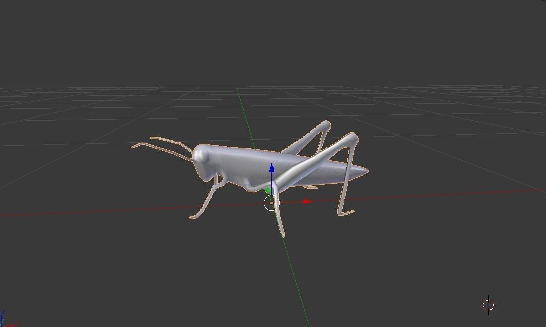 Grasshopper Low-poly 3D model_6