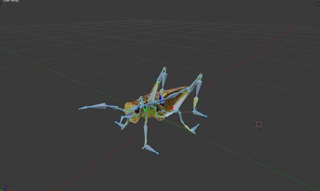 Grasshopper Low-poly 3D model_4