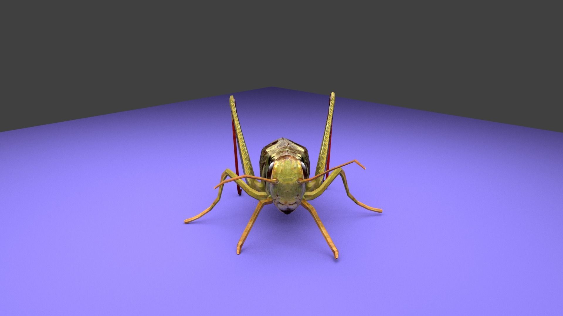 Grasshopper Low-poly 3D model_3