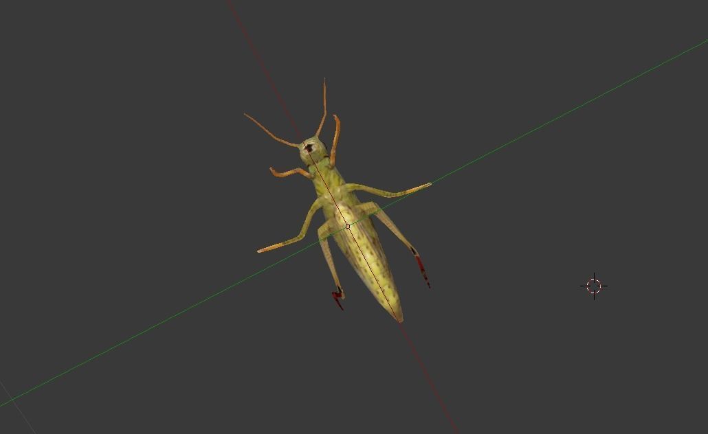 Grasshopper Low-poly 3D model_5