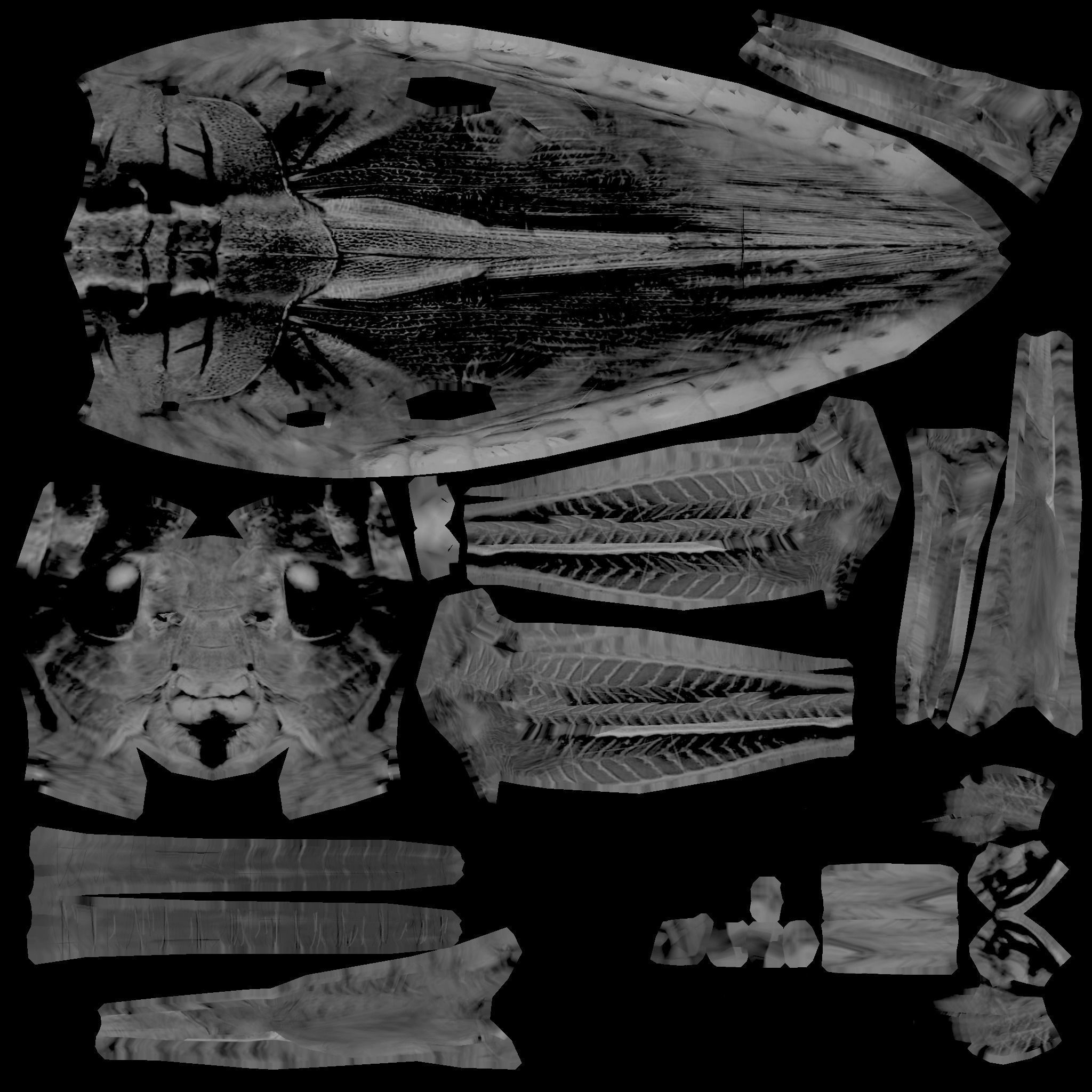 Grasshopper Low-poly 3D model_10