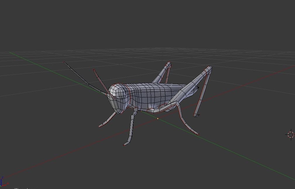 Grasshopper Low-poly 3D model_7