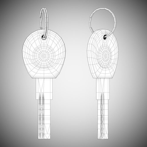 Realistic Door Key Lowpoly with a set of 5 PBR materials Low-poly 3D model 5