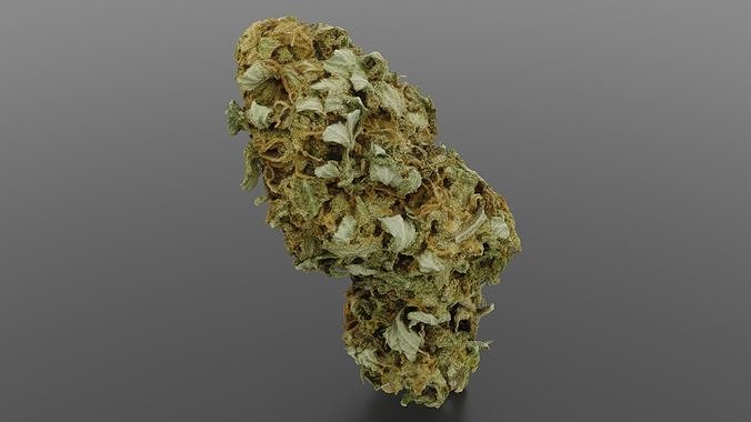 Cannabis Bud 04 3D model