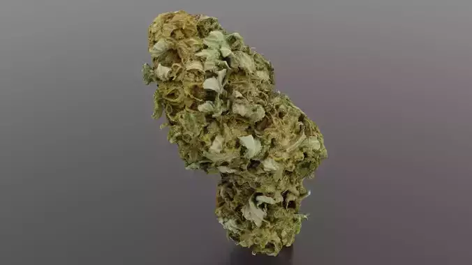 Cannabis Bud 04 3D model