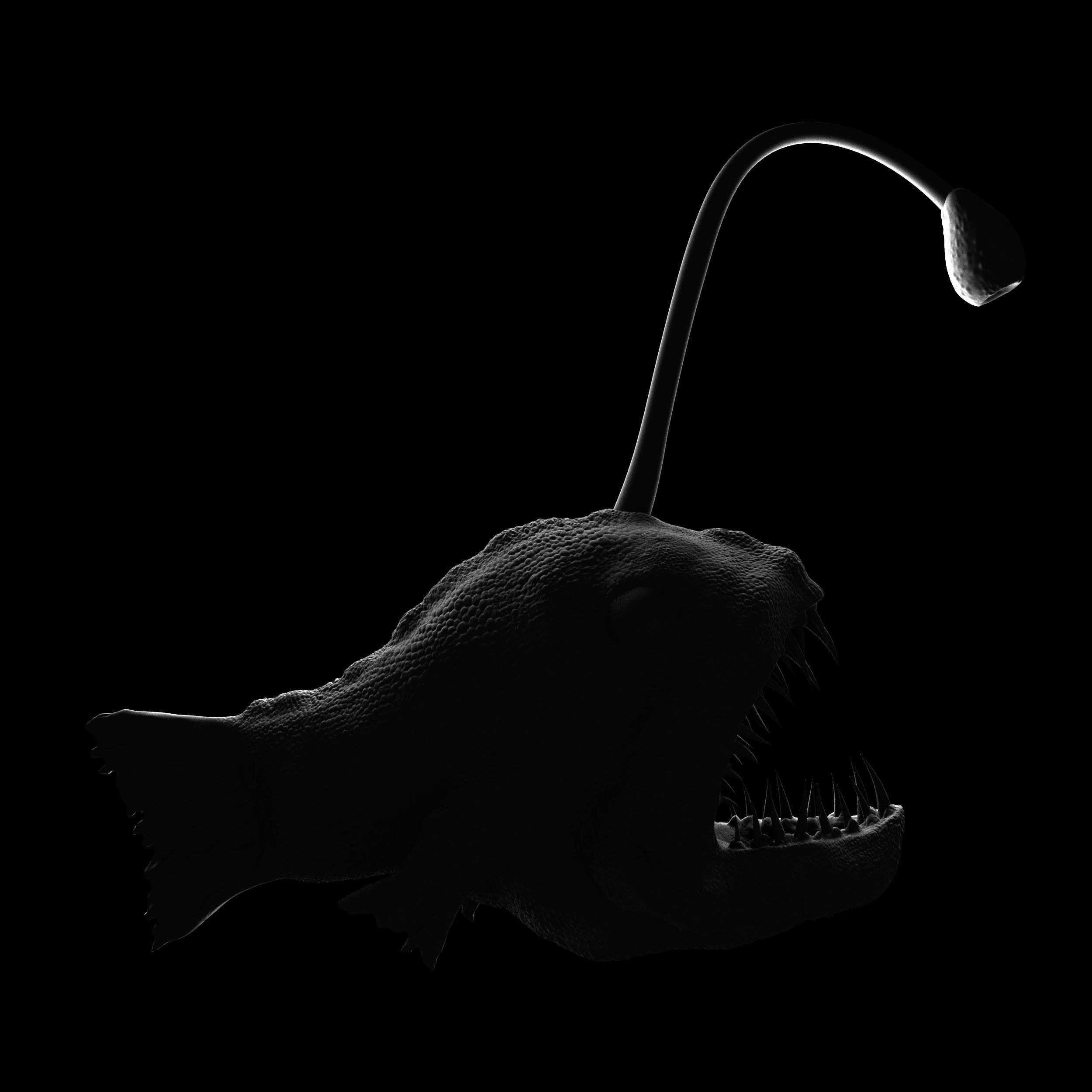 Scary fish 3D model_2