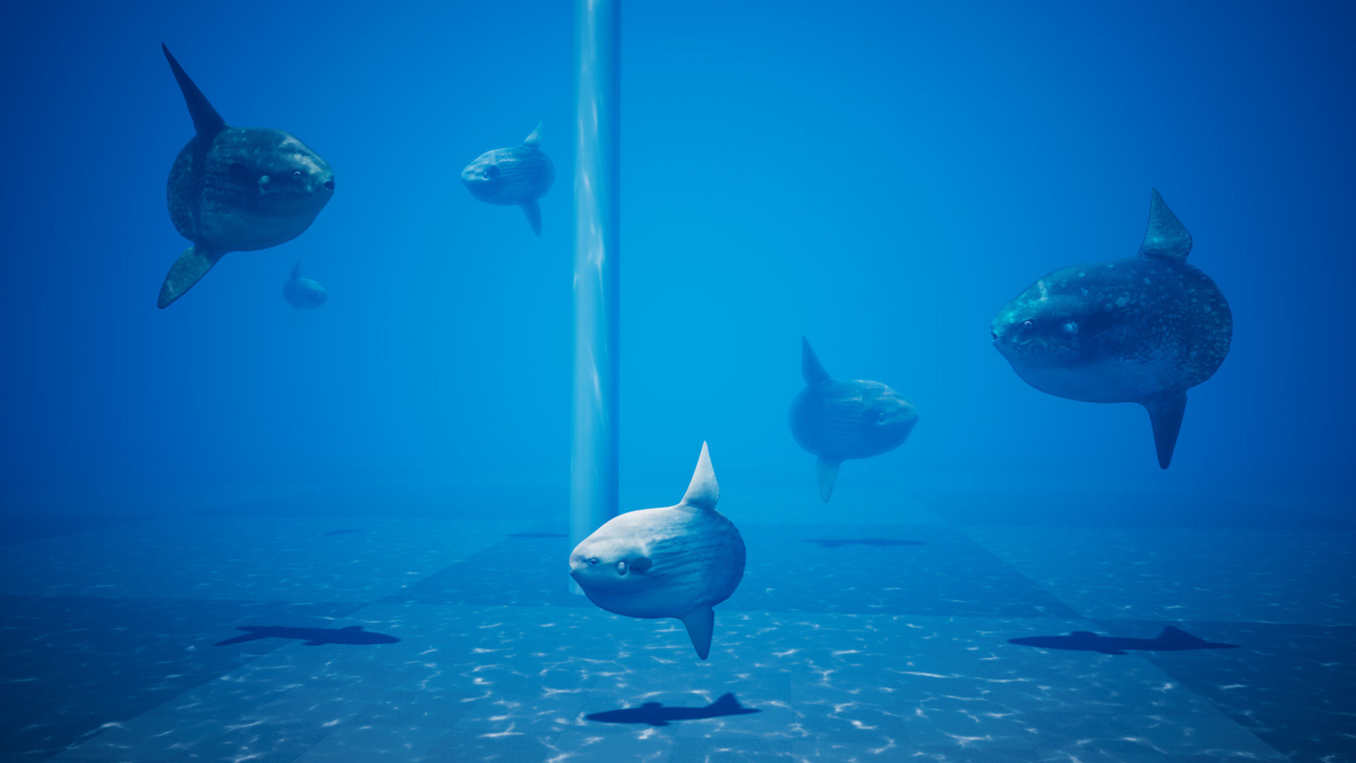 Ocean Sunfish Pack - UE4 Low-poly 3D model_12
