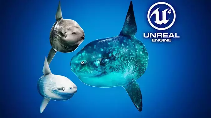 Ocean Sunfish Pack - UE4 Low-poly 3D model