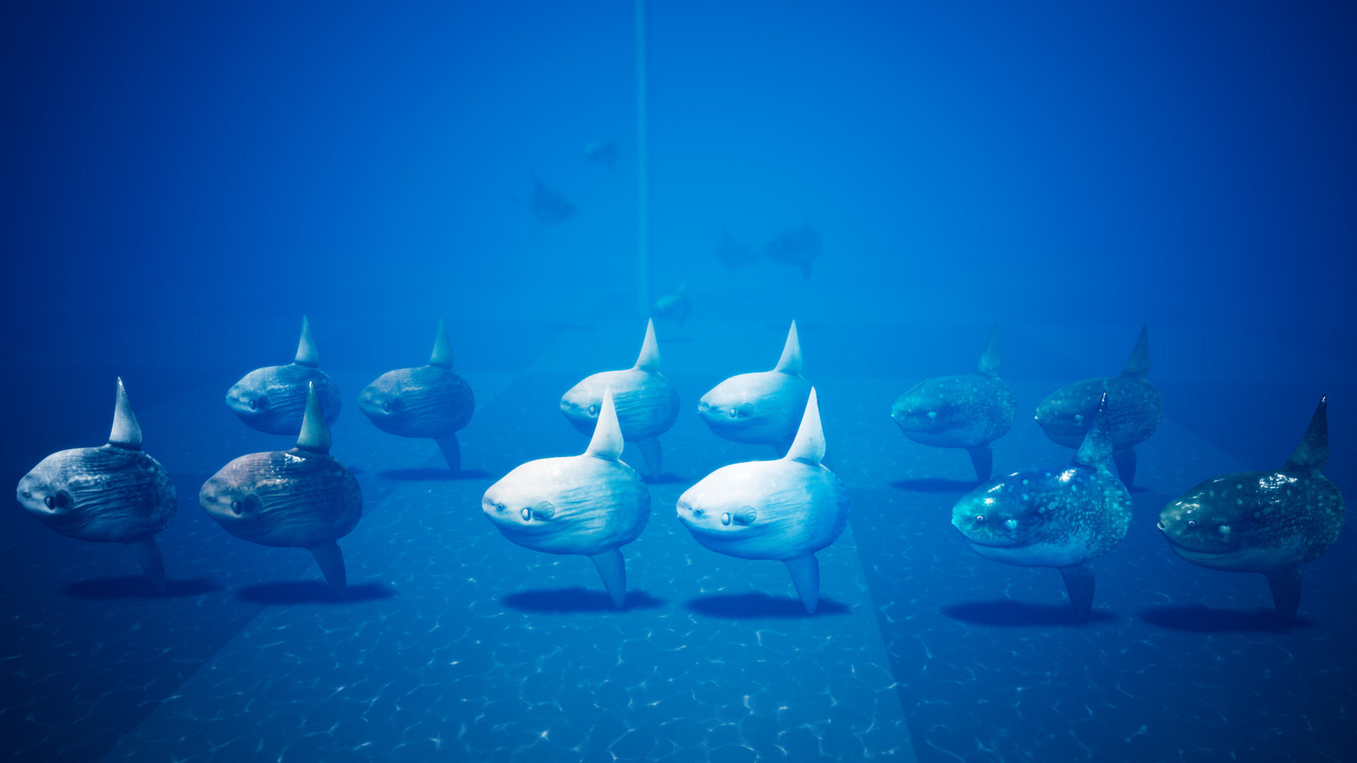 Ocean Sunfish Pack - UE4 Low-poly 3D model_3