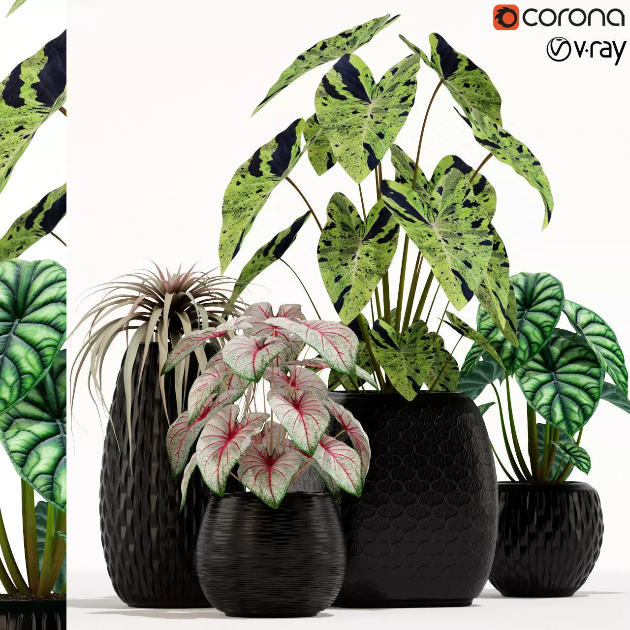 Plants collection 137 3D model_0