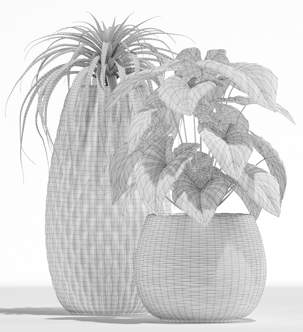 Plants collection 137 3D model_4