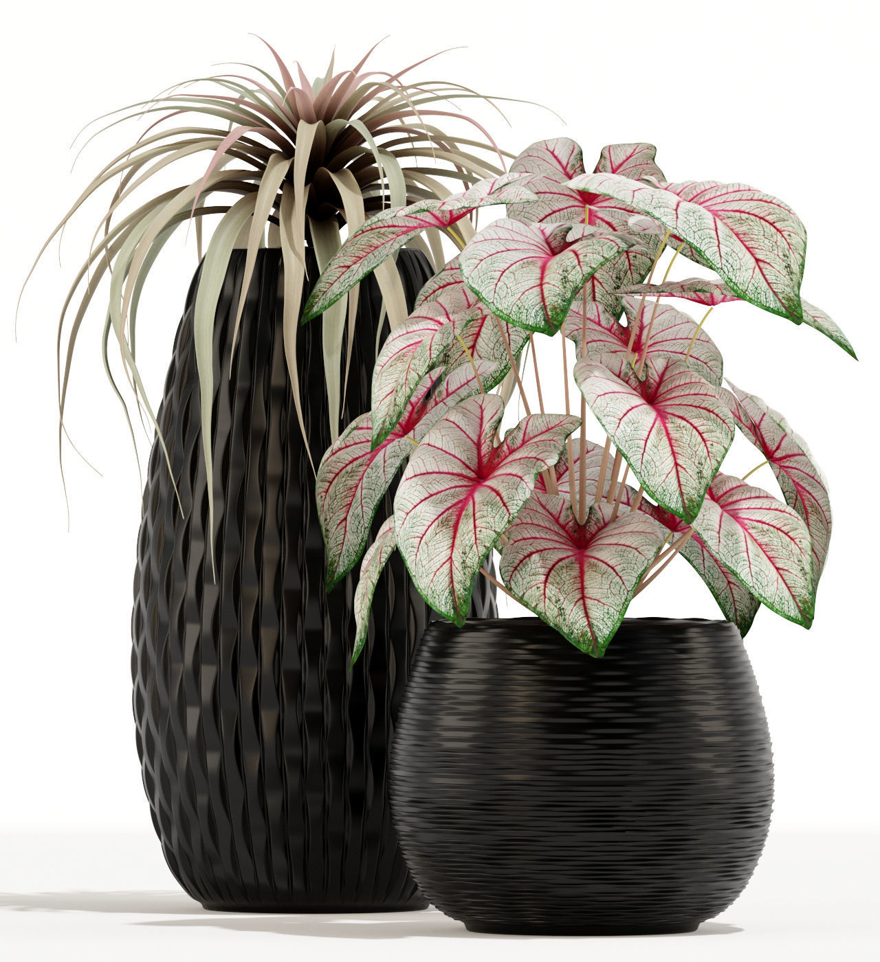 Plants collection 137 3D model_2