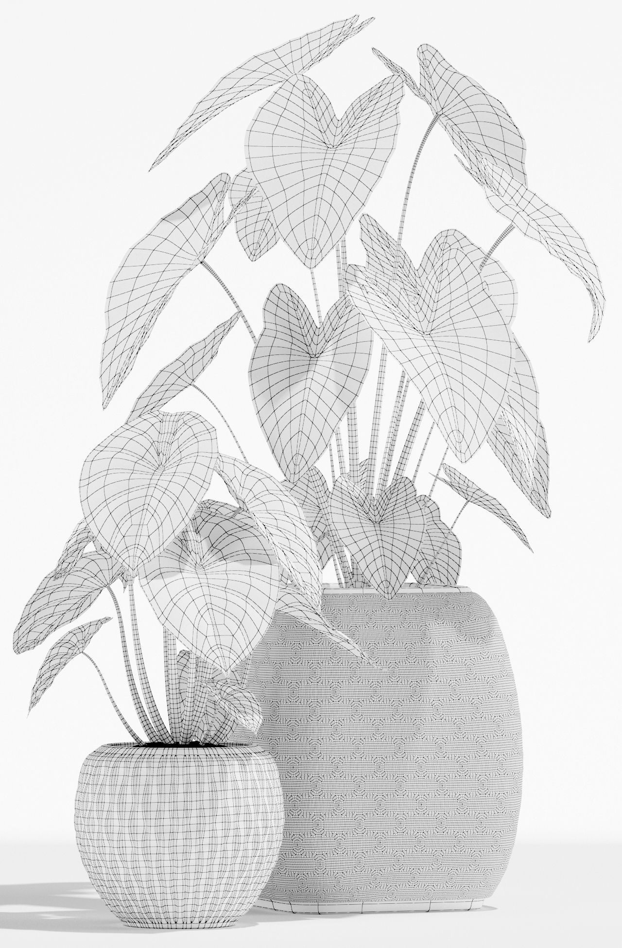 Plants collection 137 3D model_3