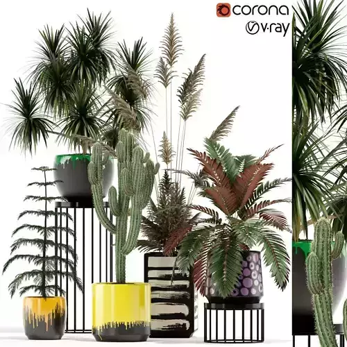 Plants collection 139