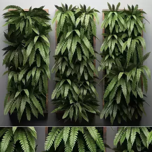 Vertical gardening Fern Wall 3