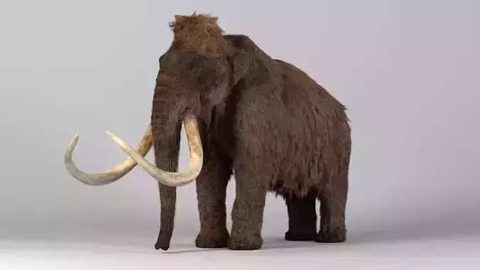 Mammoth-Rig-Maya woolly mammoth 3D model