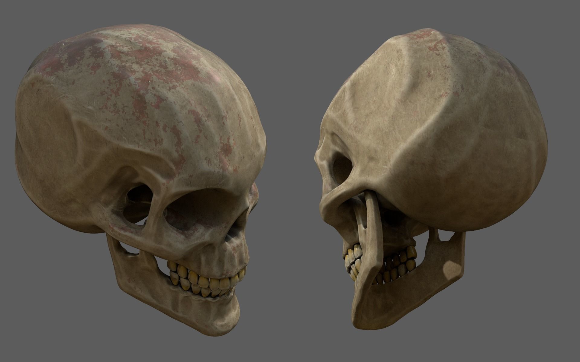 Stylized human skull  Low-poly 3D model_1