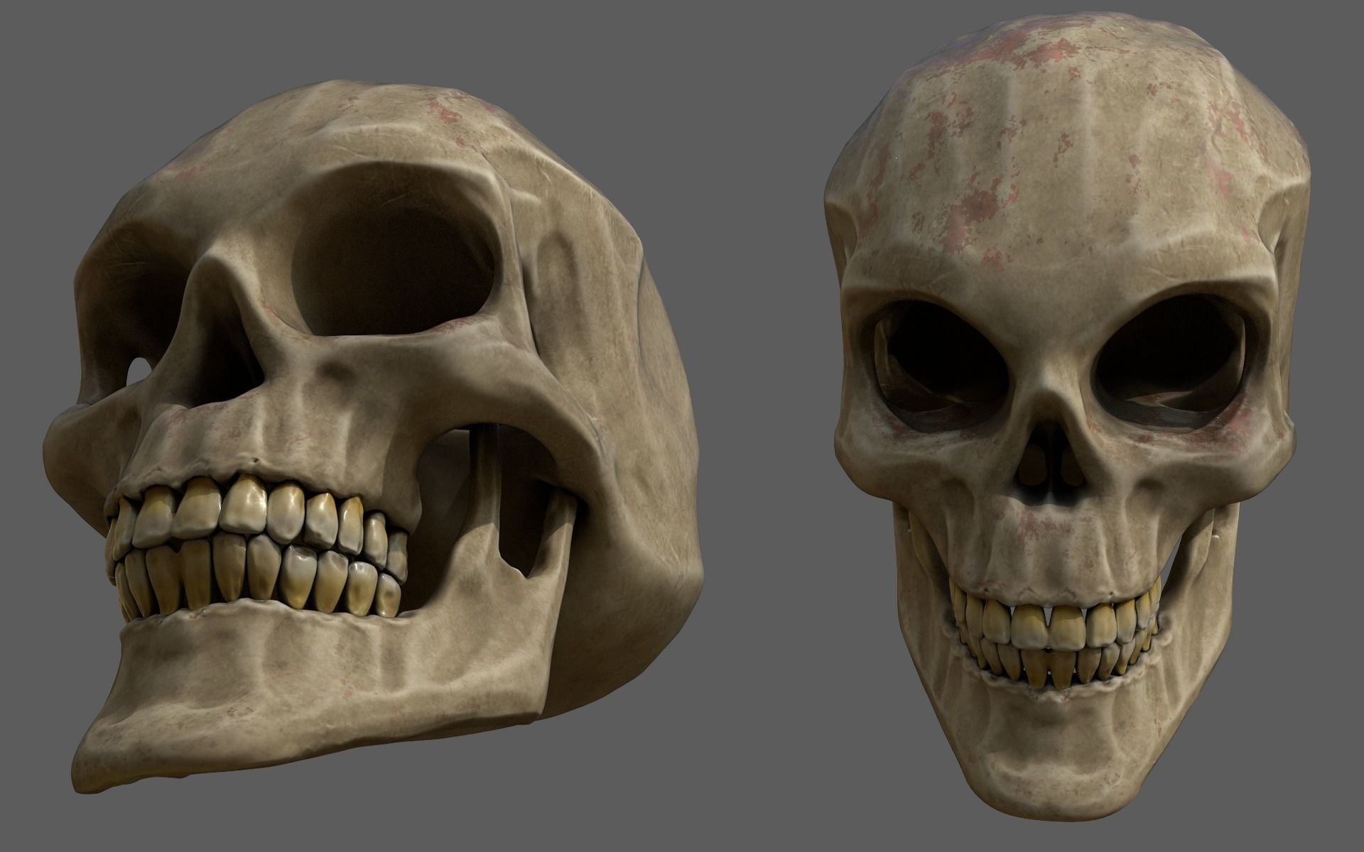 Stylized human skull  Low-poly 3D model_2