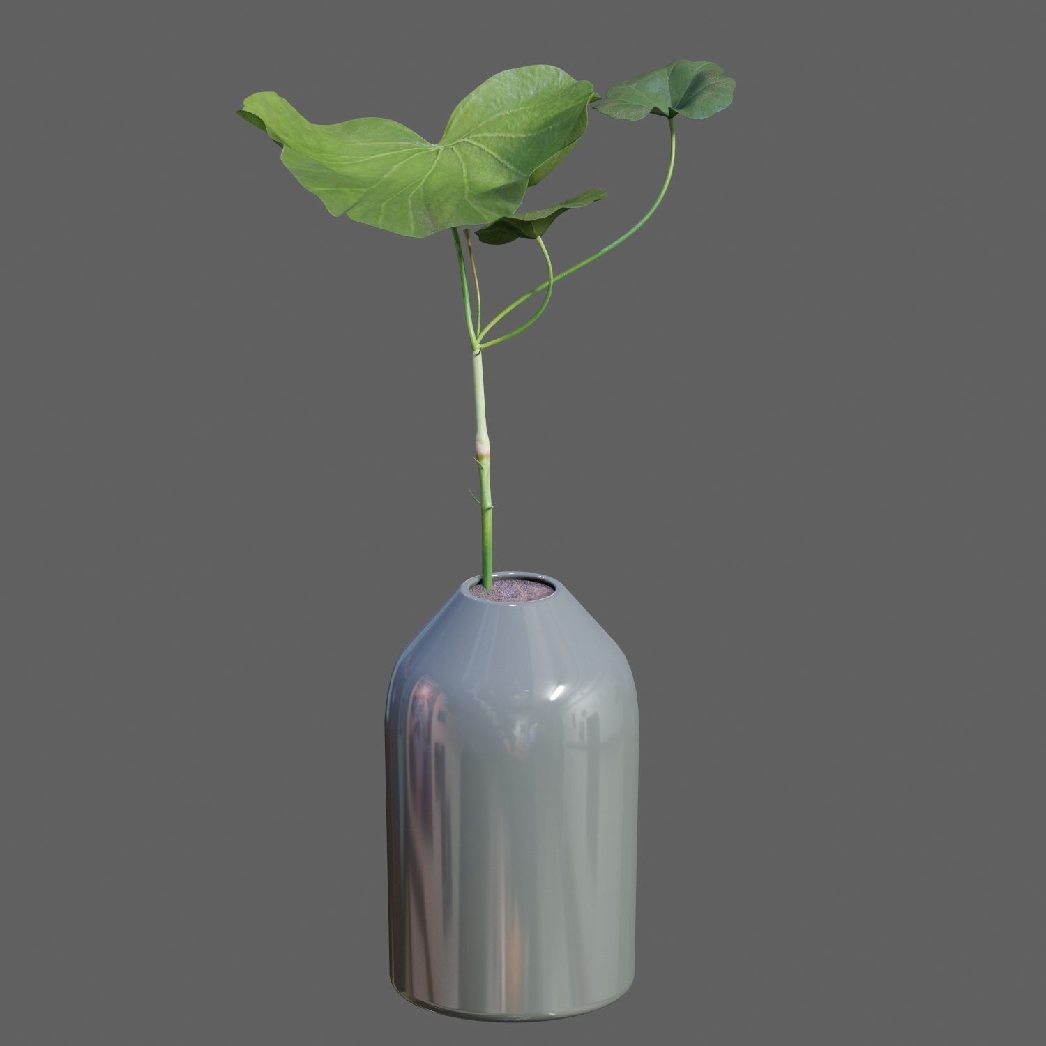 Decorative set 006  3D model_4