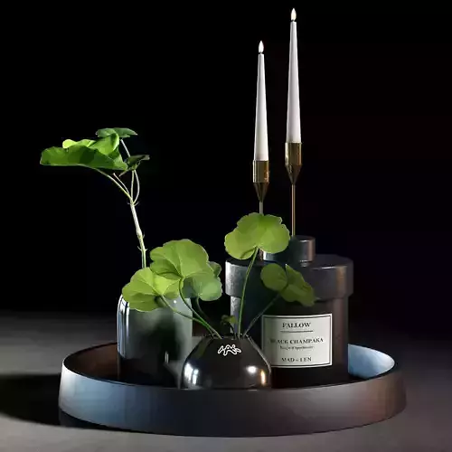 Decorative set 006  3D model